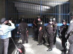 peace cops